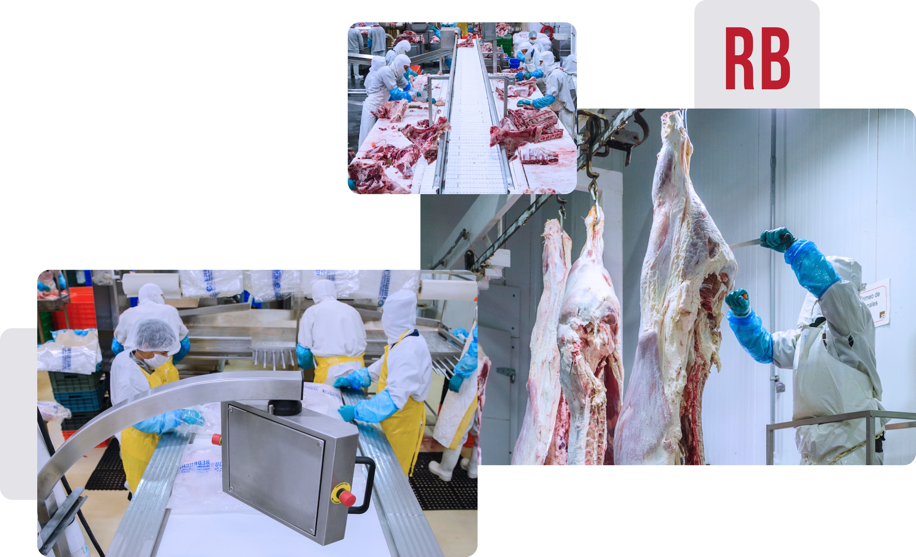 Mosaico fabrica redbuchef preparando carne
